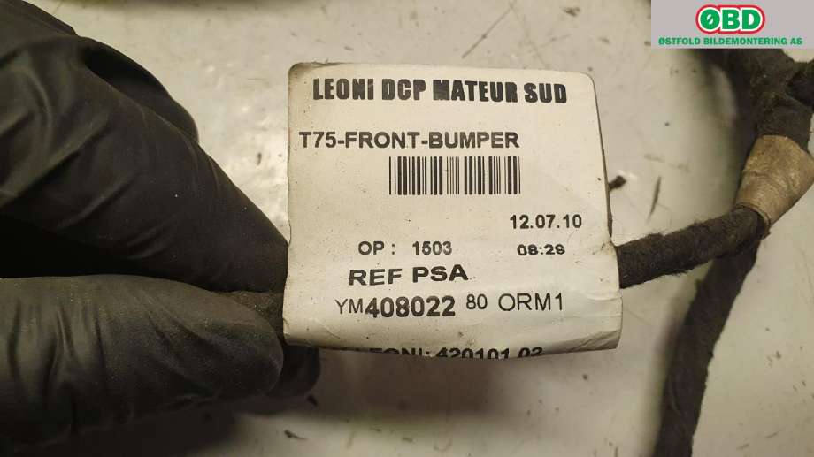 Ledningsnett til Peugeot RCZ 2010-2015 (PEUGEOT|6528 2A|)