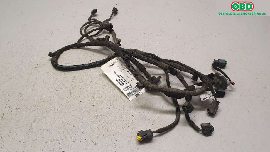 Ledningsnett til Peugeot RCZ 2010-2015 (PEUGEOT|6528 2H|)