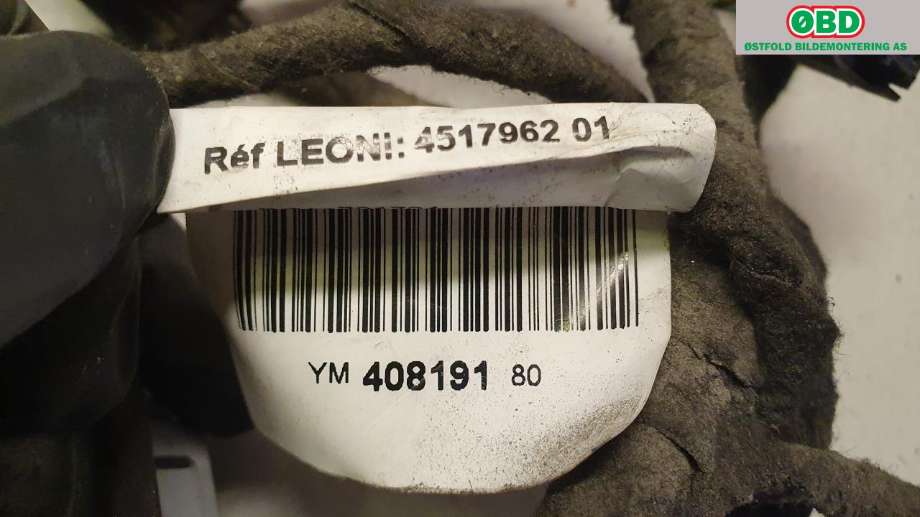 Ledningsnett til Peugeot RCZ 2010-2015 (PEUGEOT|6528 2H|)