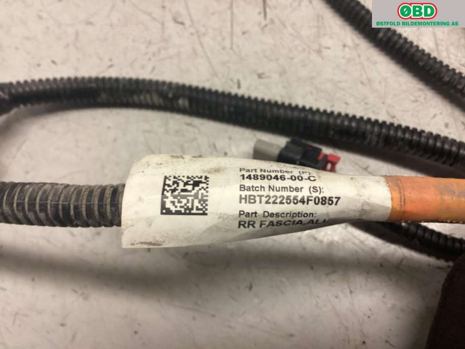 Ledningsnett til Tesla Model Y 2021-2024 (Type I)  (1489046-00-C|)