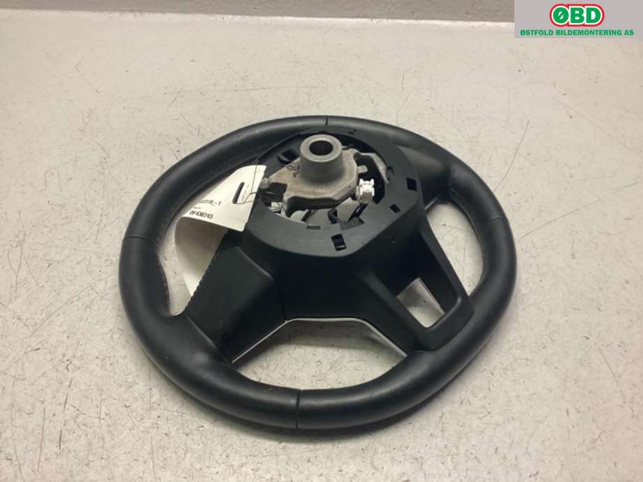 Ratt til Renault Zoe 2013-2019 (Fase 1)  (RENAULT|484006274R|)