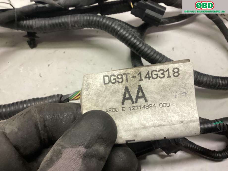 Ledningsnett til Ford Mondeo 2014-2019 (Type V, Fase 1)  (FORD||DG9T14G318AA)
