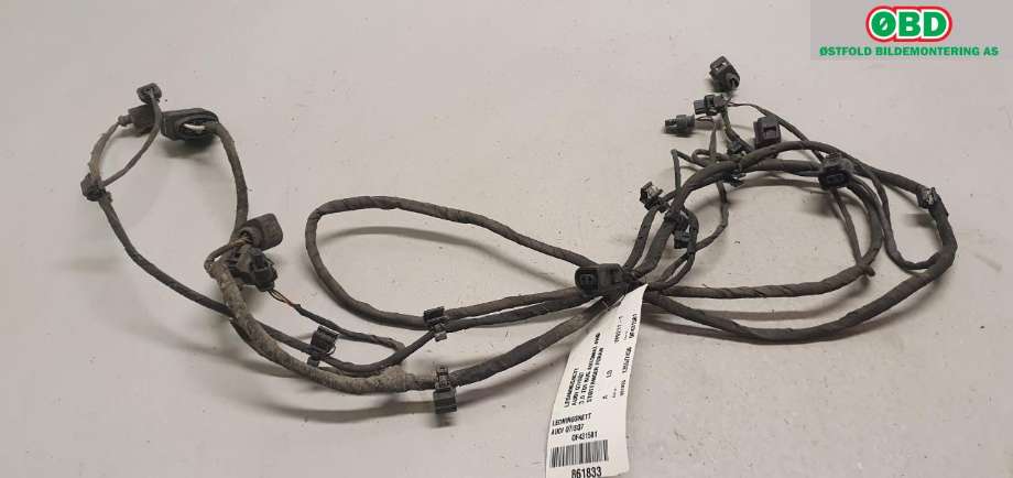 Ledningsnett til Audi Q7 2006-2010 (Type I, Fase 1) (AUDI|4L0 971 095 Q|)