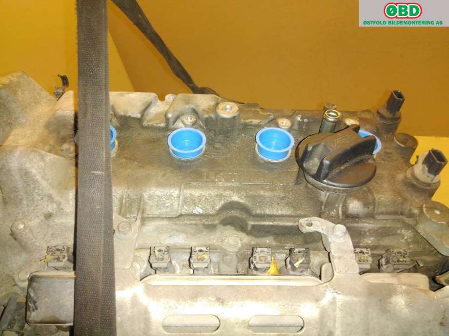 Motor bensin til Nissan Juke 2010-2014 (Fase 1)  (NISSAN|101021KA0F|)