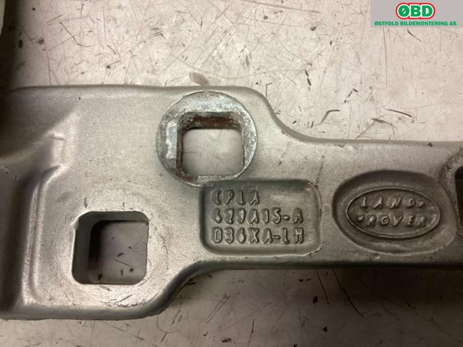 Hengsler til Land Rover Range Rover 2013-->> (Type IV)  (LAND-ROVER|LR048168||CPLA429A15AF)