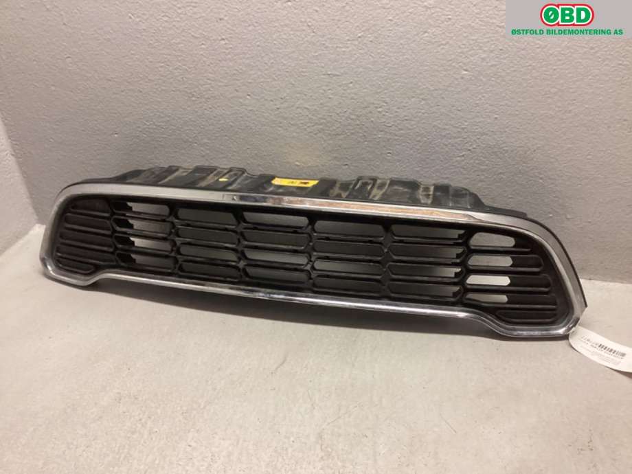Grill til Mini Countryman 2010-2016 (R60) (R60) (MINI|)