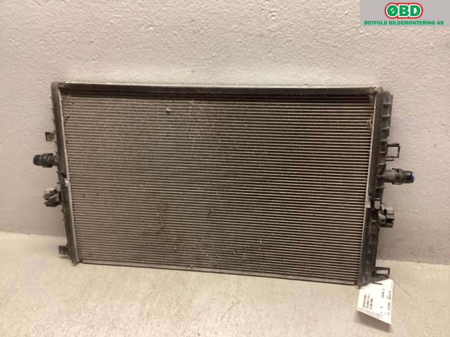 Radiator (automat gir) til Tesla Model 3 2018-2023 (Fase 1) (TESLA|1607811-00-A|)