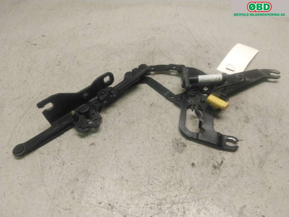 Panserhengsler til BMW X5, 2013-2018 (F15) (F15) (BMW|41 00 7 381 782)