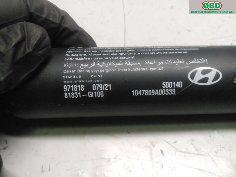 Baklukeåpner motor til Hyundai Ioniq 5 2021-->>  (HYUNDAI|81831GI100|)