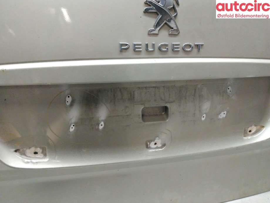 Bakluke til Peugeot Expert 2007-2016 (Type II)  (PEUGEOT|8701 X0|)