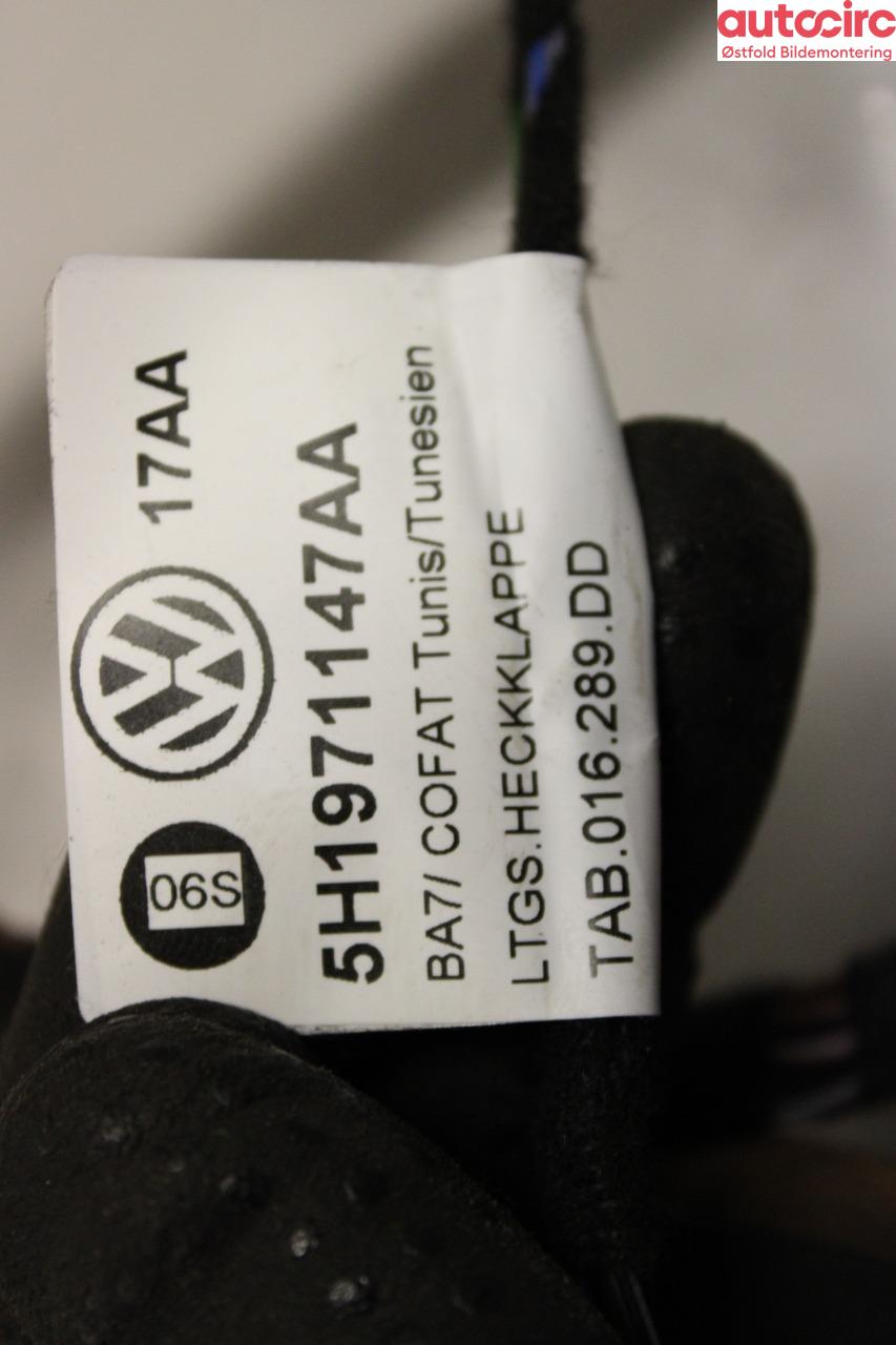 Ledningsnett til VW Golf VIII 2020-->>  (VOLKSWAGEN|)