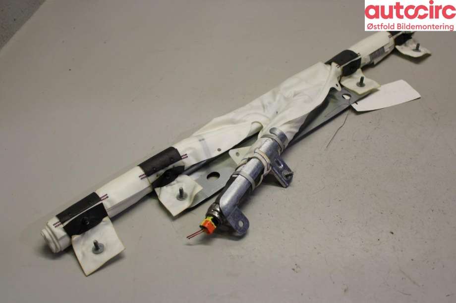 Airbag gardin venstre til Tesla Model X 2016-->> (Tesla Model X 75D|1036757-00-G|)