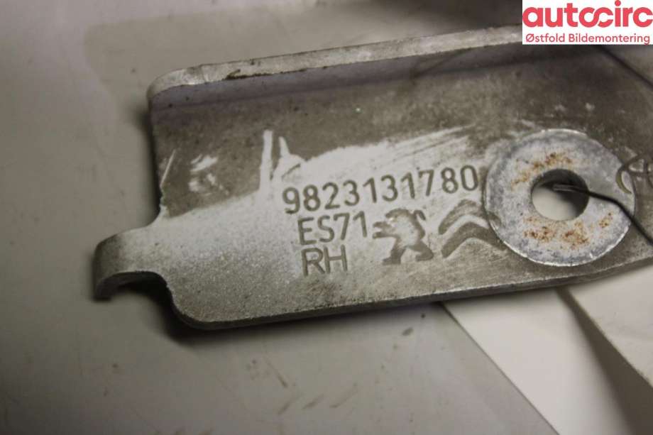 Panserhengsler til Citroën Jumpy 2016-->> (Type III)  (CITROEN|98 086 544 80|)