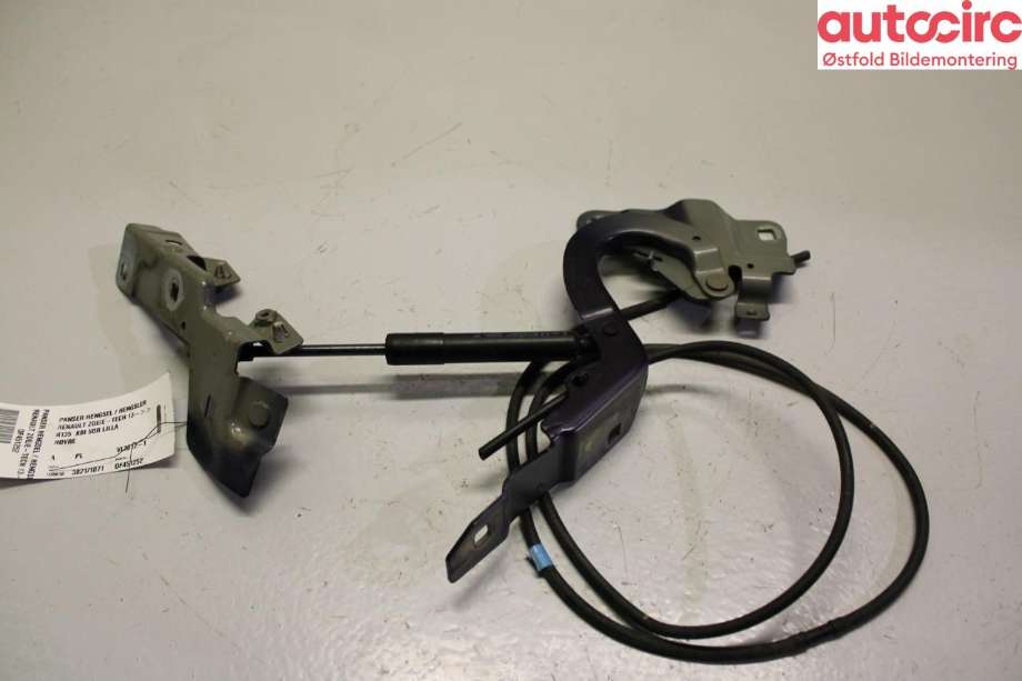 Panserhengsler til Renault Zoe 2013-2019 (Fase 1)  (RENAULT|654004793R|654009955R)