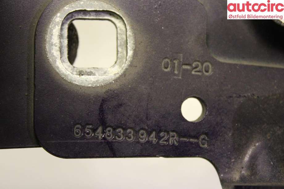 Panserhengsler til Renault Zoe 2013-2019 (Fase 1)  (RENAULT|654015966R|654018609R)