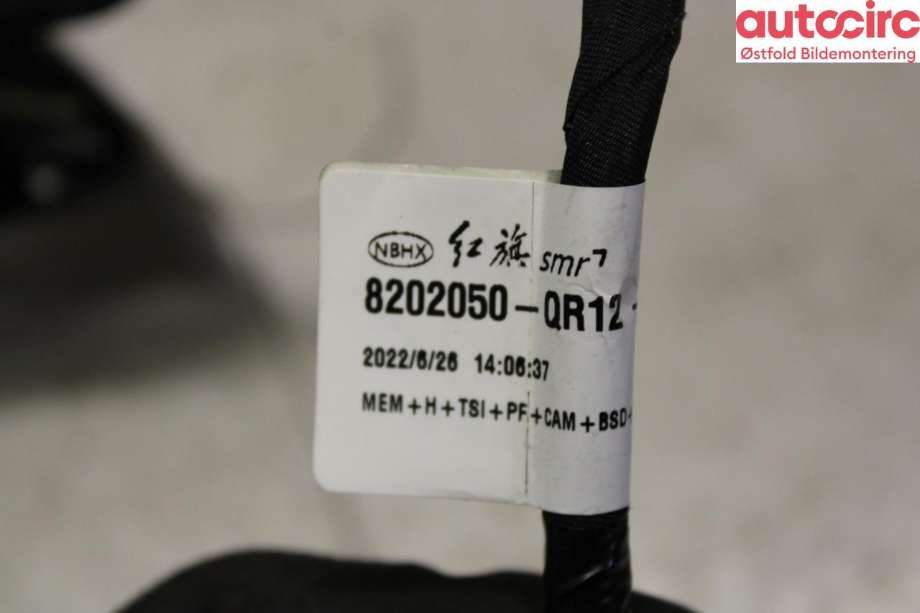 Speil høyre til Hongqi E-HS9 2022-->>  (HONGQI||638202050QR12AS)