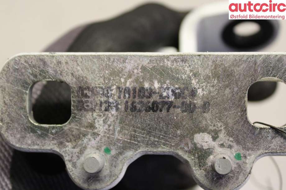 Hengsler til Tesla Model Y 2021-2024 (Type I) (TESLA|1626077-00-B|)