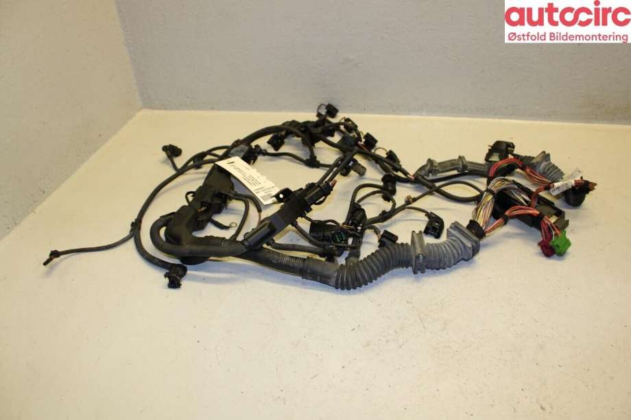 Ledningsnett til BMW 5-Serie, 2003-2010 (E60/E61) (E60/E61) (BMW|12 51 7 811 590)