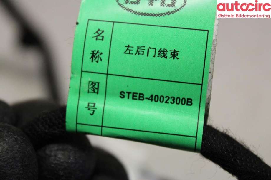 Ledningsnett til BYD Tang 2020-->>  (BYD TANG|)