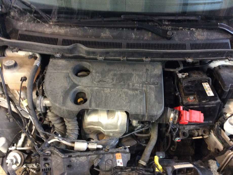 Motor diesel til Ford Transit Courier, 2014-2018 (Type I, Fase 1)  (FORD|T3CA)
