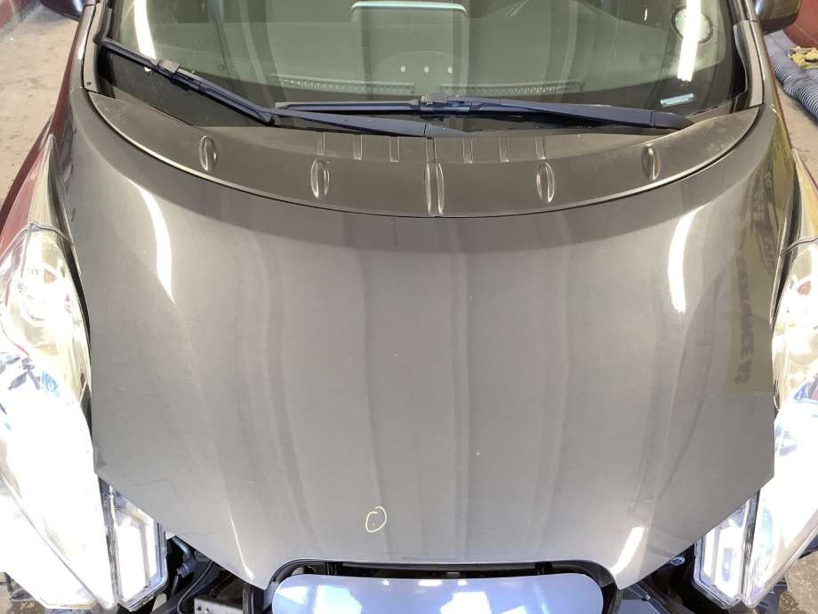 Panser til Nissan Leaf, 2011-2017 (Type I)  (NISSAN|)