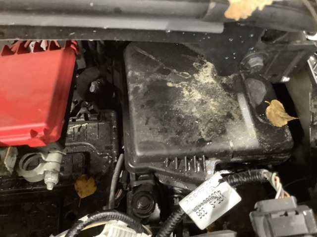 Sikringsboks til Renault Zoe, 2013-2019 (Fase 1)  (RENAULT|)