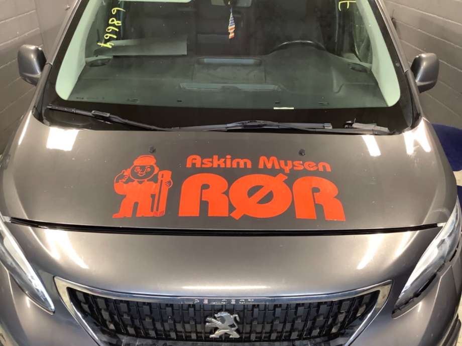 Panser til Peugeot Expert, 2016-->> (Type III)  (PEUGEOT|)