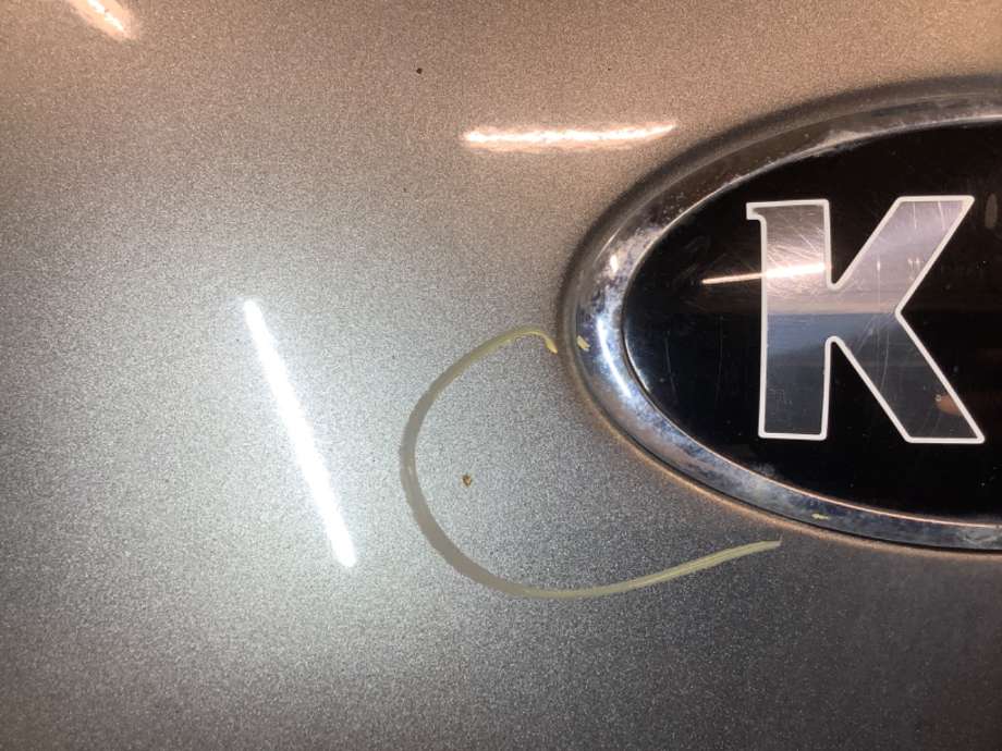 Bakluke combi til Kia Soul 2014-2019 (Type II)  (KIA|)