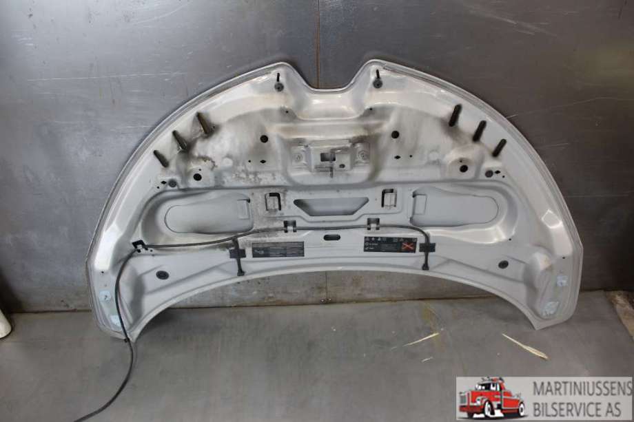 Panser til Renault Zoe 2013-2019 (Fase 1)  (RENAULT|)