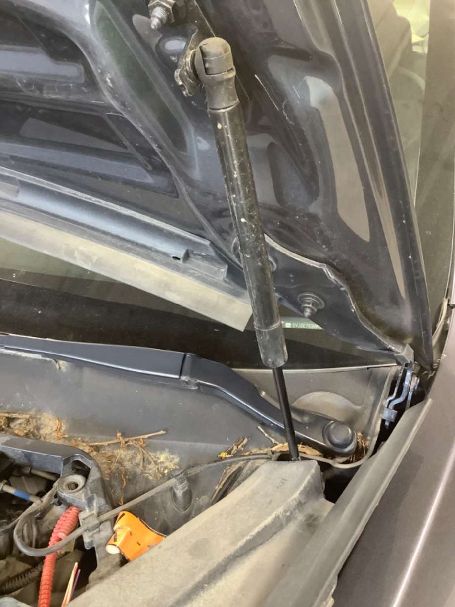 Panserdemper til Tesla Model 3, 2018-2023 (Fase 1)  (TESLA|)