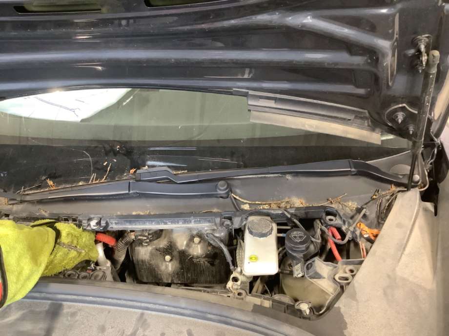 Viskerarmer frontrute til Tesla Model 3, 2018-2023 (Fase 1)  (TESLA|)