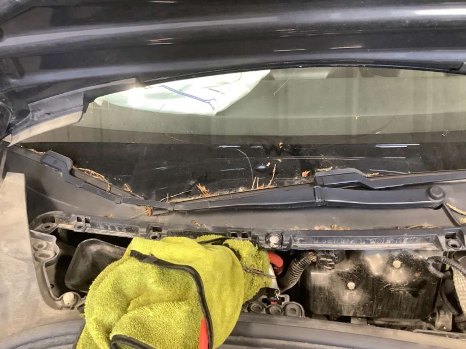Viskerarmer frontrute til Tesla Model 3, 2018-2023 (Fase 1)  (TESLA|)