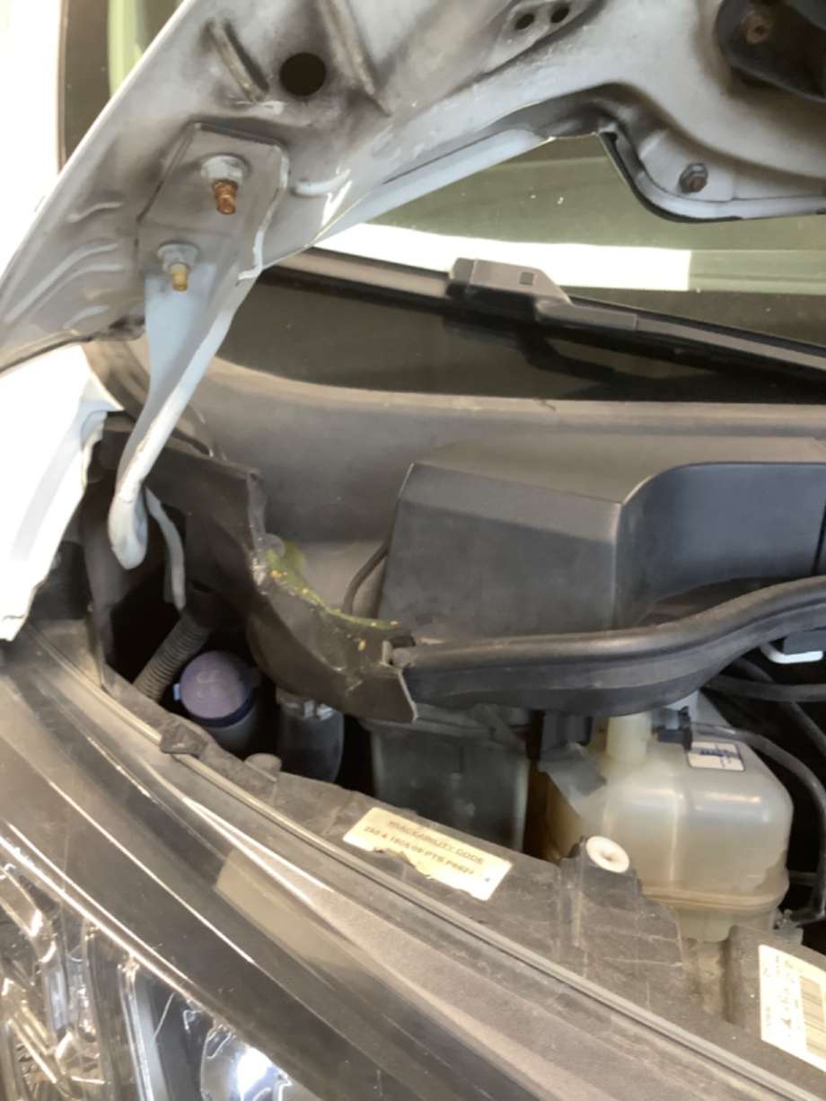 Panserhengsler til Peugeot Boxer, 2014-->> (Type III, Fase 2)  (PEUGEOT|)