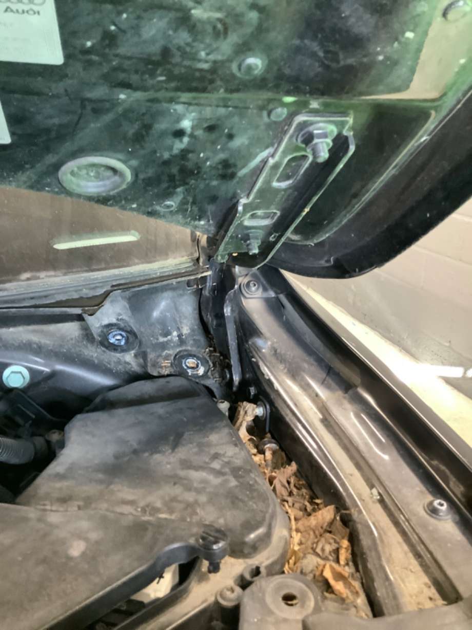 Panserhengsler til Audi Q7, 2006-2010 (Type I, Fase 1)  (AUDI|)