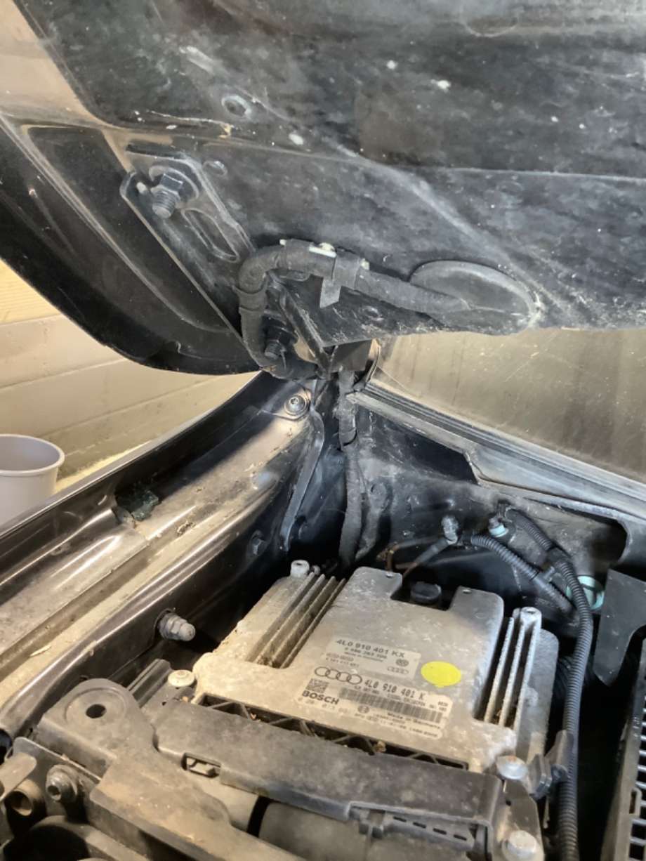 Panserhengsler til Audi Q7 2006-2010 (Type I, Fase 1)  (AUDI|)