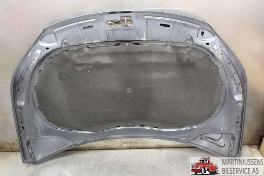 Panser til VW Tiguan 2007-2011 (Type I, Fase 1)  (VOLKSWAGEN|)