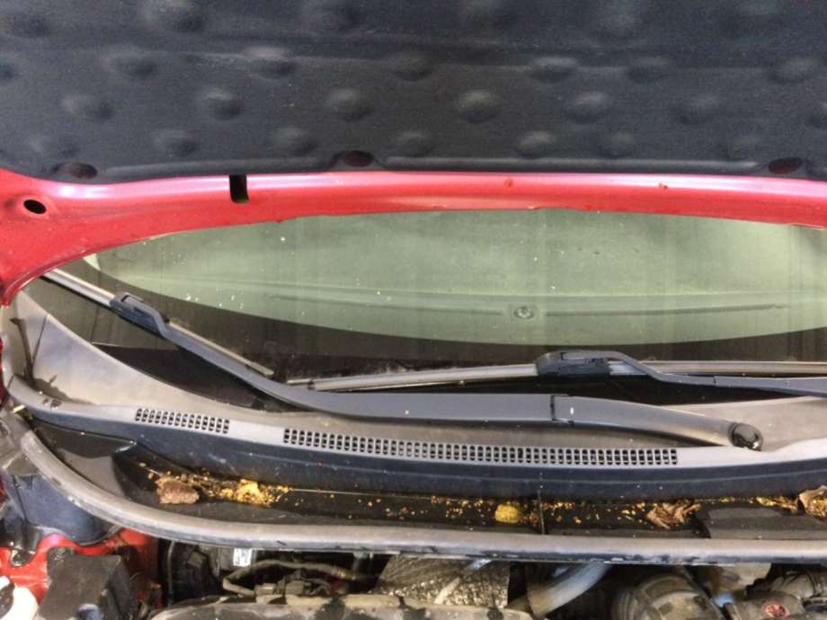 Viskerarmer frontrute til Kia Rio, 2011-2017 Type III  (KIA|)