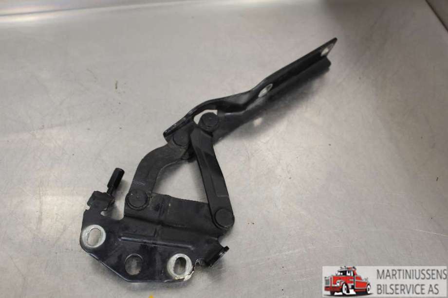 Panserhengsler til VW Passat 2005-2010 (B6) (B6) (VOLKSWAGEN||3C0 823 301 E)