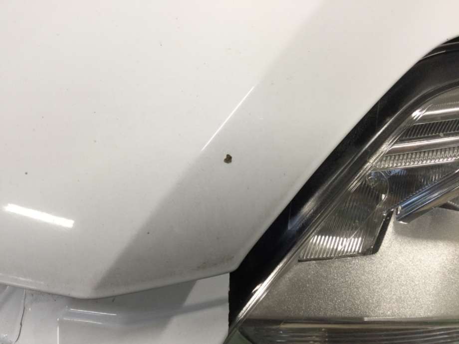 Panser til Ford Focus 2011-2014 (Type III, Fase 1)  (FORD|)