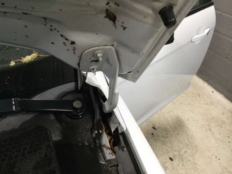Panserhengsler til Ford Focus, 2011-2014 (Type III, Fase 1)  (FORD|)