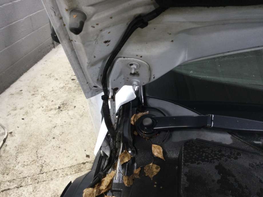 Panserhengsler til Ford Focus 2011-2014 (Type III, Fase 1) (FORD|)