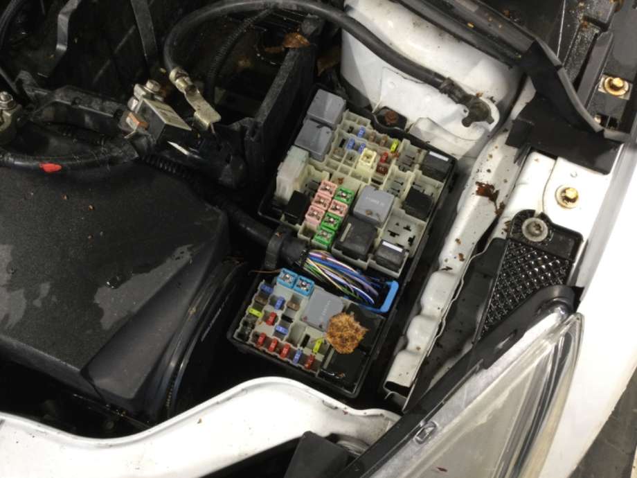 Sikringsboks til Ford Focus, 2011-2014 (Type III, Fase 1)  (FORD|)