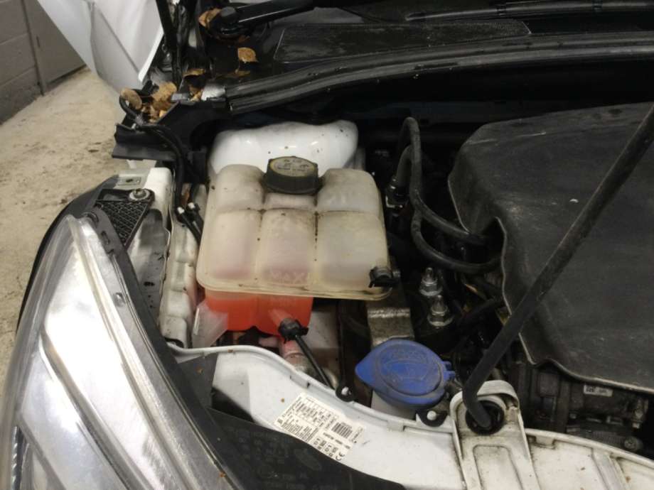 Ekspansjonstank til Ford Focus, 2011-2014 (Type III, Fase 1)  (FORD|)