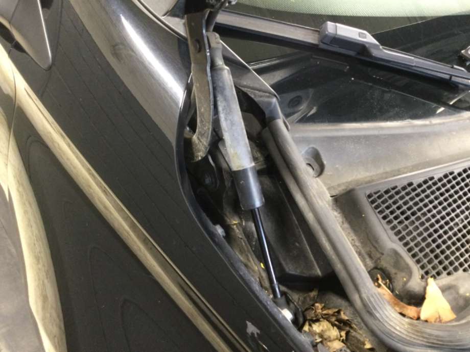 Panserhengsler til Renault Zoe 2013-2019 (Fase 1)  (RENAULT|)