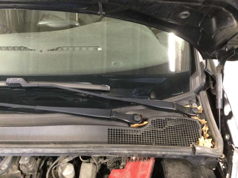 Viskerarmer frontrute til Renault Zoe, 2013-2019 (Fase 1)  (RENAULT|)