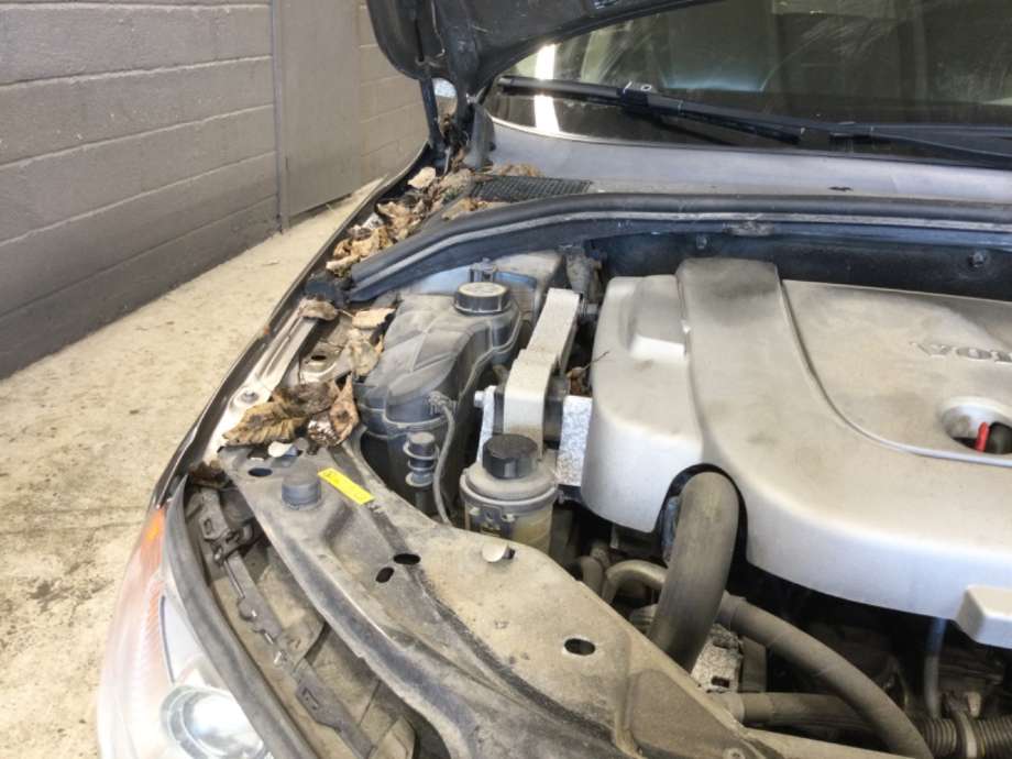 Ekspansjonstank til Volvo V70, 2007-2013 (Type III, Fase 1)  (VOLVO|)