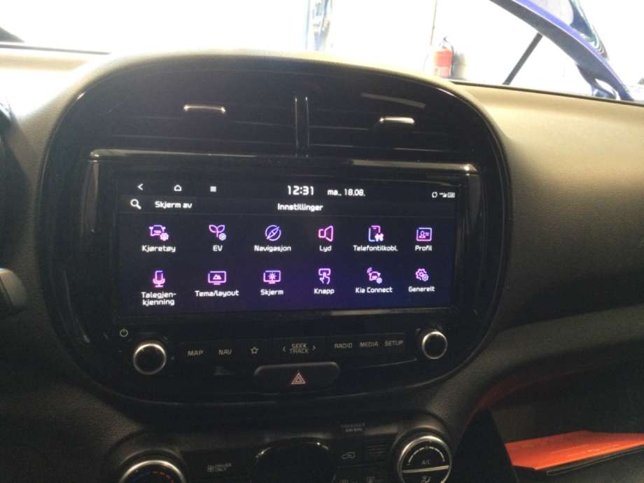 Multimedia display (MCU - Media Controller Unit) til Kia e-Soul, 2019-->> (Type III)  (KIA|)