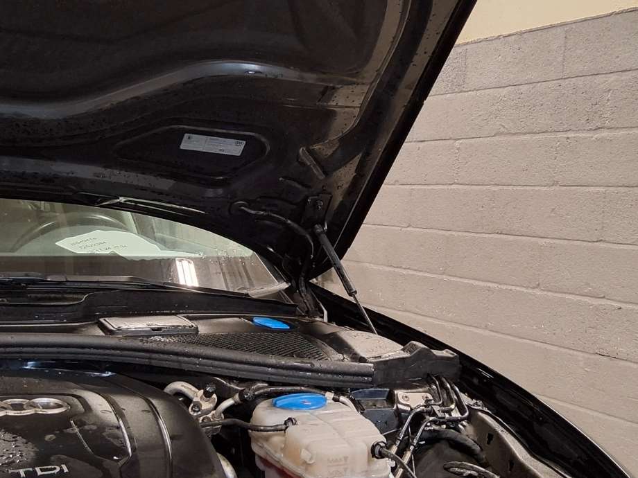Panserhengsler til Audi A6, 2011-2014 (Type IV, Fase 1) (C7) (C7) (AUDI|)