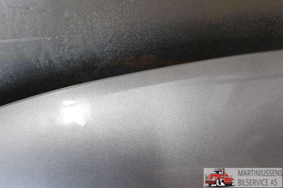 Panser til Nissan Qashqai 2014-2021 (Type II)  (NISSAN||F51004EAAA)