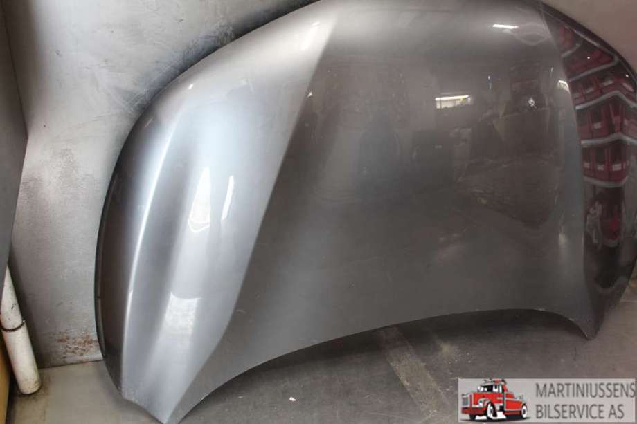 Panser til Nissan Qashqai 2014-2021 (Type II)  (NISSAN||F51004EAAA)